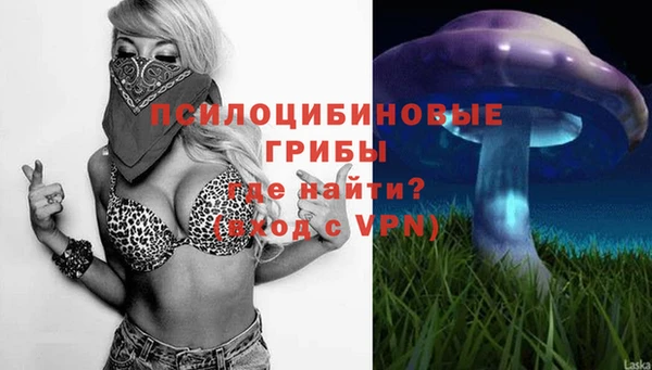 дживик Карталы