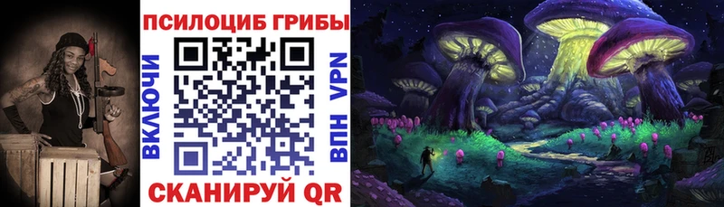 Купить  Туран  Галлюциногенные грибы Cubensis 